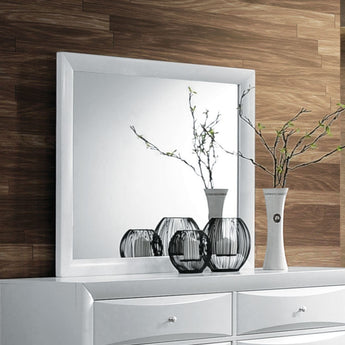Ireland Mirror 21705