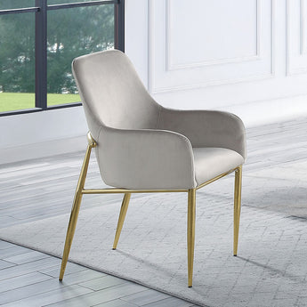Barnard Side Chair (Set-2) DN00220