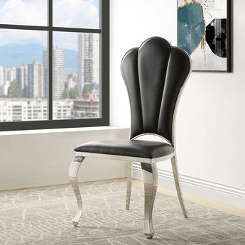Cyrene Side Chair (Set-2) DN00927