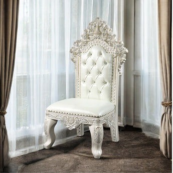 Adara Side Chair (Set-2) DN01230