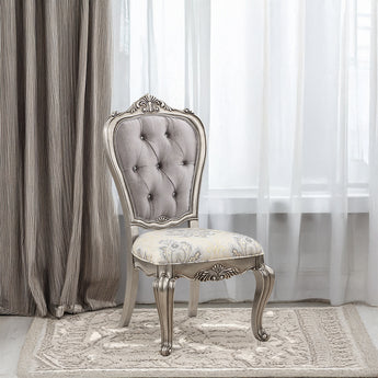 Ariadne Side Chair (Set-2) DN02282