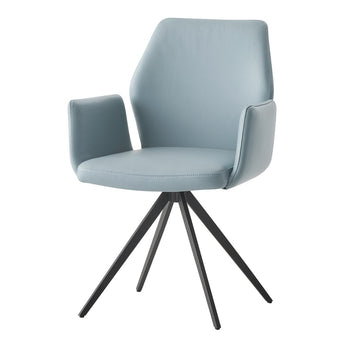 Segismunda Arm Chair W/Swivel DN02403