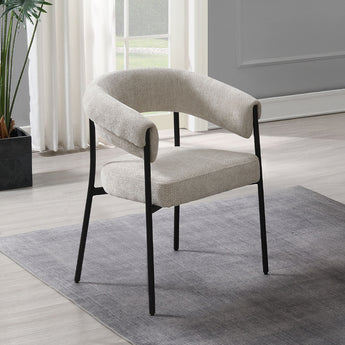 Jirina Arm Chair (Set-2) DN03676