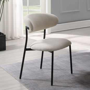 Jirina Side Chair (Set-2) DN03677