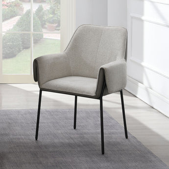 Jirina Arm Chair (Set-2) DN03678