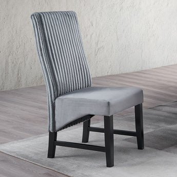 Kini Side Chair (Set-2) DN04346