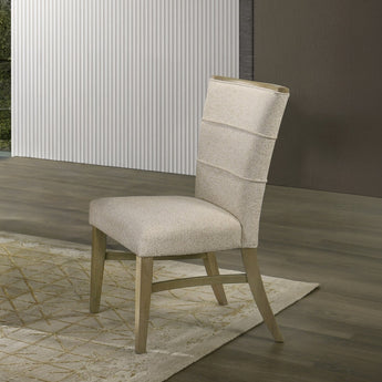 Olinda Side Chair (Set-2) DN07036
