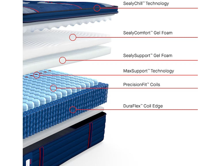 Albany II Euro Pillow Top Soft