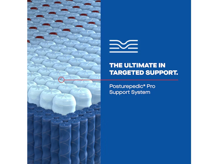 Albany II Euro Pillow Top Soft