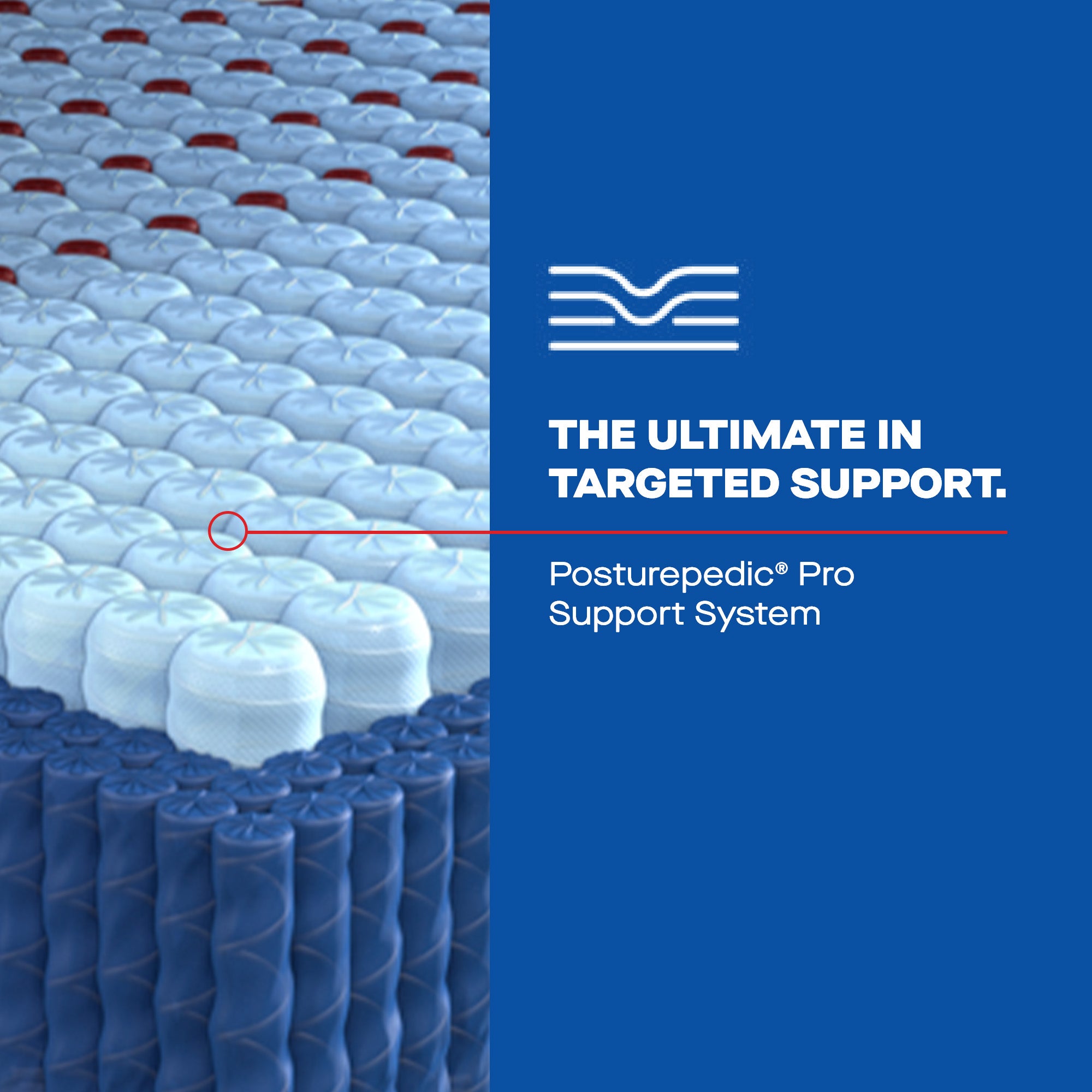 Paterson II Euro Pillow Top Firm