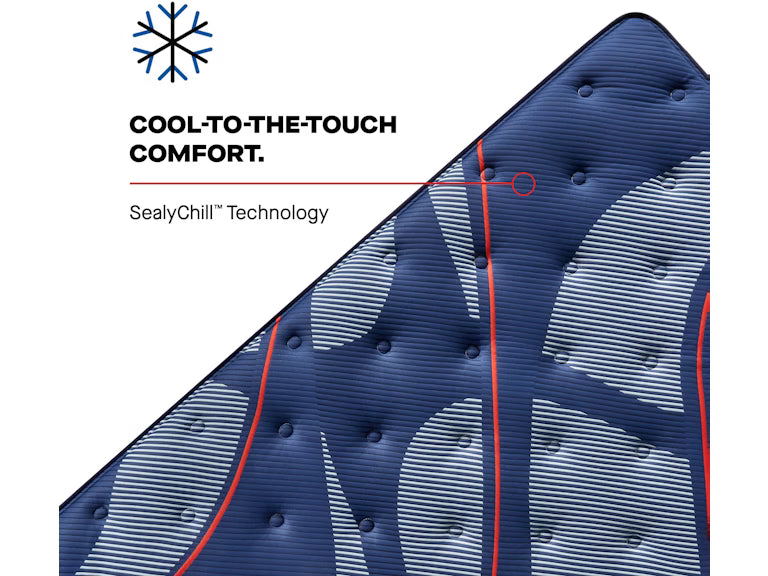 Albany II Euro Pillow Top Soft