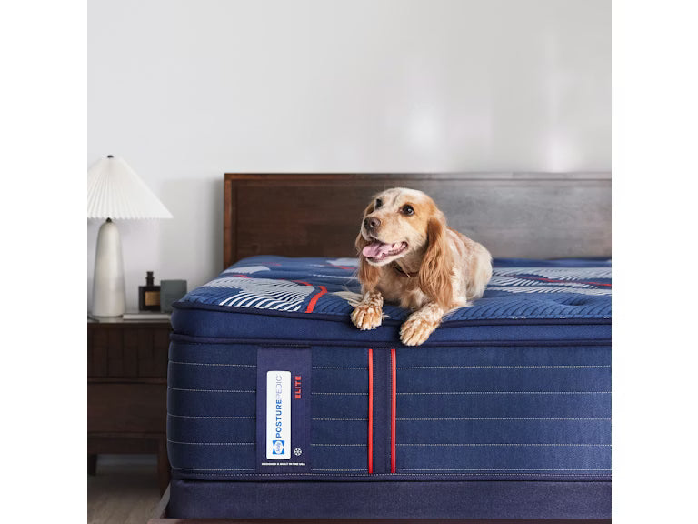 Albany II Euro Pillow Top Soft