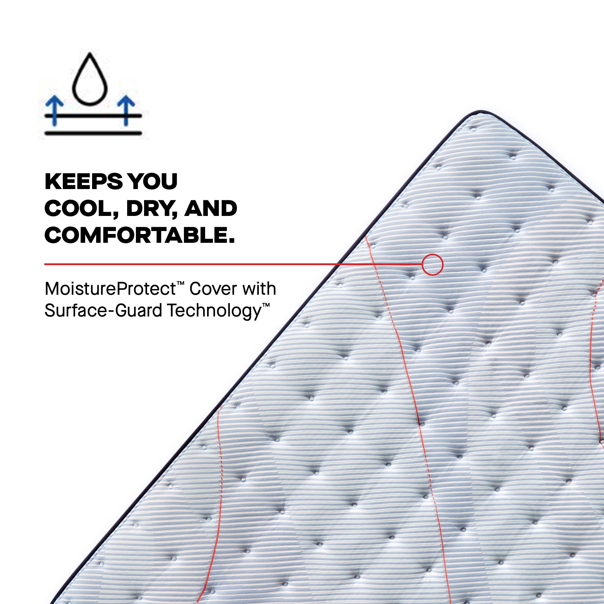 Medina II Euro Pillow Top Medium