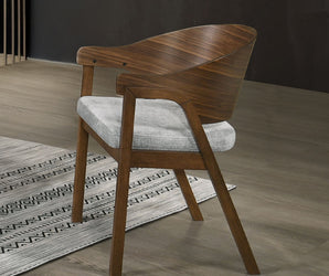 Hoyte Arm Chair (Set-2) DN03487