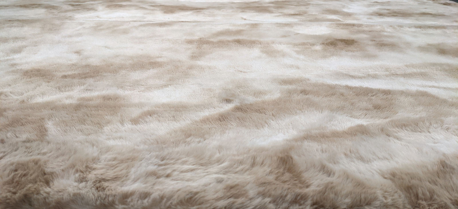FAMALICA - 5' X 7' Area Rug - RG5134