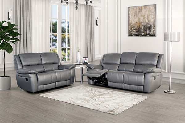 GLARUS - Sofa + Loveseat - FM69003DG-M-2PC