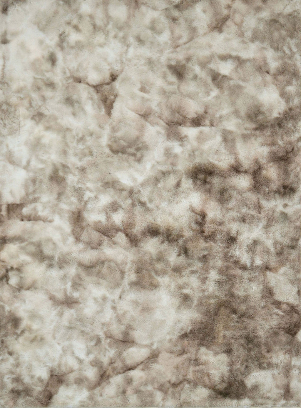 FAMALICA - 5' X 7' Area Rug - RG5134