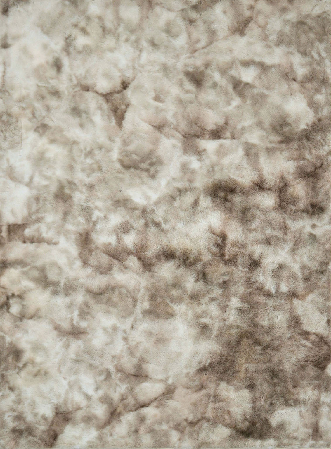 FAMALICA - 5' X 7' Area Rug - RG5134