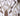 LUCY - 20" X 20" Pillow, Latte (2/CTN) - PL8032-2PK