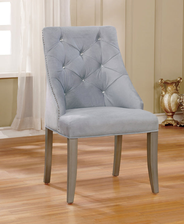 DIOCLES - Side Chair (2/CTN) - CM3020SC-2PK