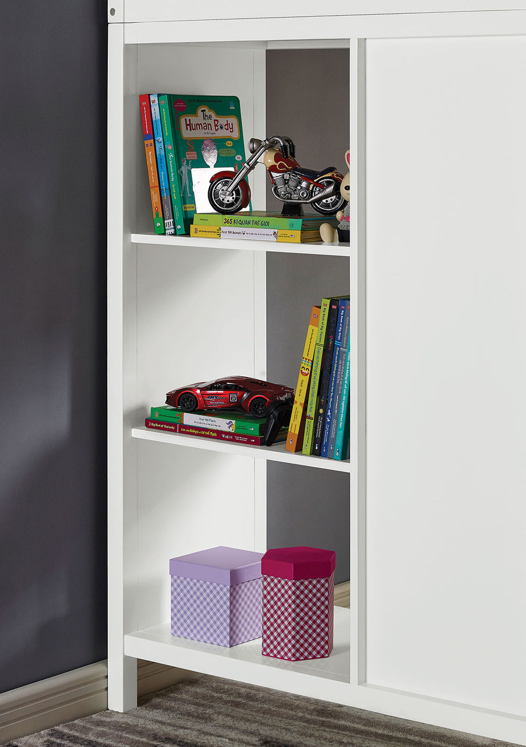 CASSIDY - Twin Loft Bed w/ Drawers - CM-BK970-BED