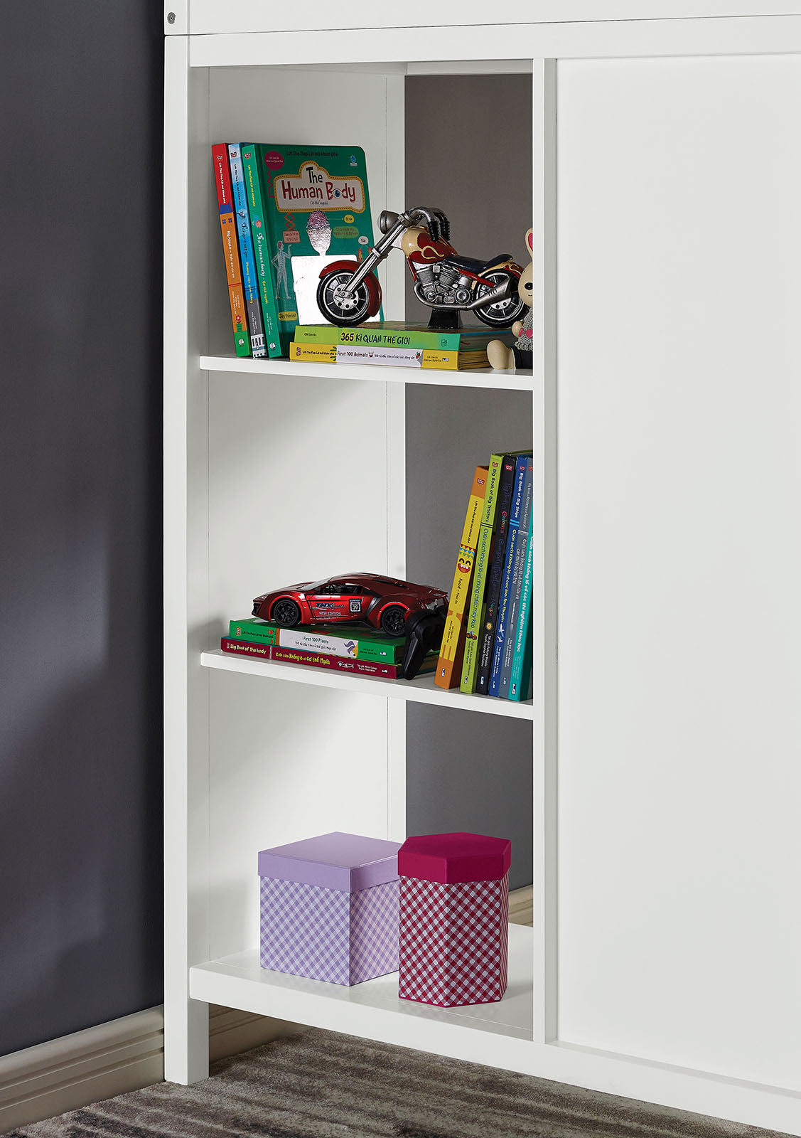 CASSIDY - Twin Loft Bed w/ Drawers - CM-BK970-BED
