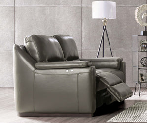 ALTAMURA - Power Loveseat, Gray