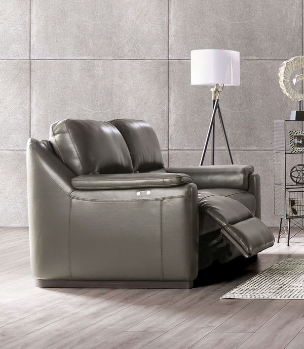 ALTAMURA - Power Loveseat, Gray - FM90002GY-LV-PM-PK