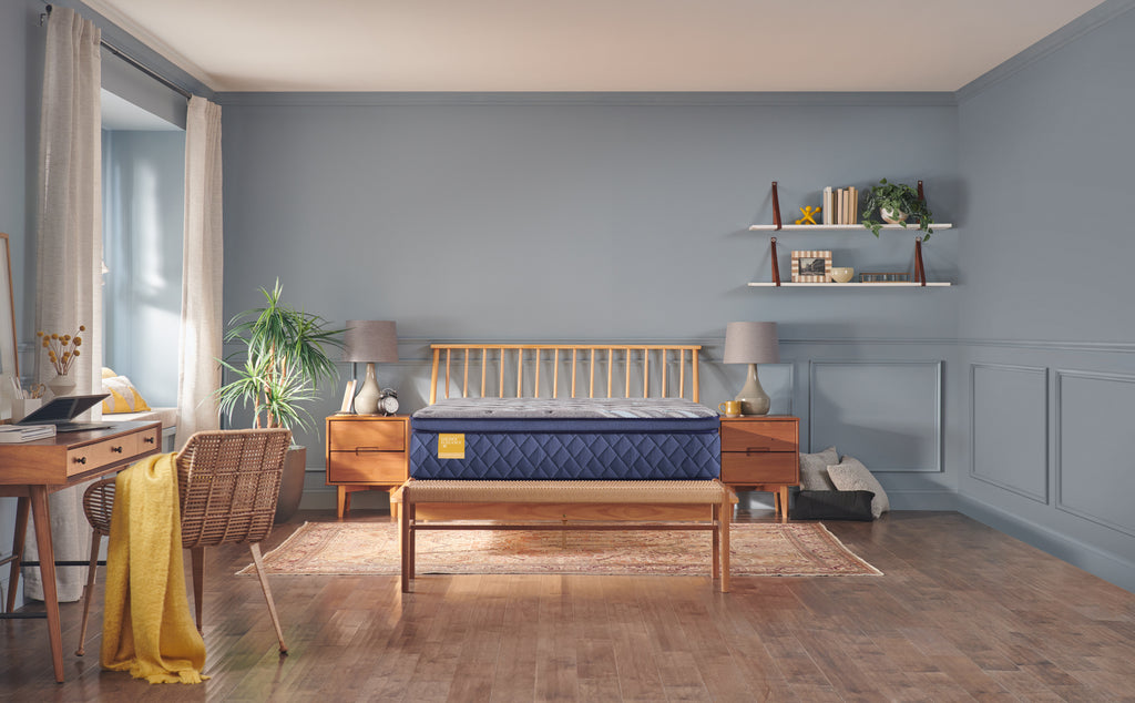 Featherton Soft Euro Pillow Top Twin Long